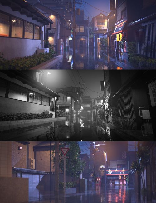 Click here to see preview images for "The Streets Of Japan 2 By Night" The Streets Of Japan 2 By Night