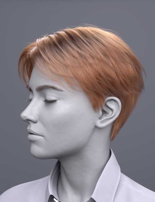 Click here to see preview images for "dForce FV Layered Idol Hair for Genesis 9" dForce FV Layered Idol Hair for Genesis 9