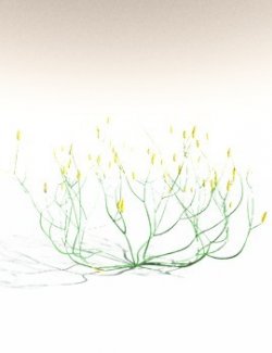 EVERYPlant Aglaophyton Majus for Daz