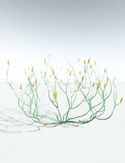 EVERYPlant Aglaophyton Majus for Vue