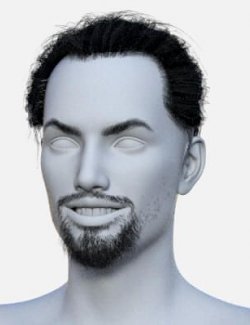 Japanese Hair Beard and Eyebrows for Genesis 8 Male