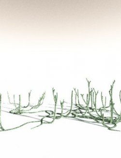 EVERYPlant Asteroxylon Mackiei for Daz