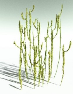 EVERYPlant Leclercqia Uncinata for Poser