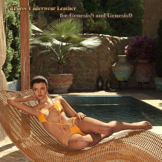 Click here to see preview images for "dForce Underwear Leather for Genesis 8 Females and Genesis 9" dForce Underwear Leather for Genesis 8 Females and Genesis 9