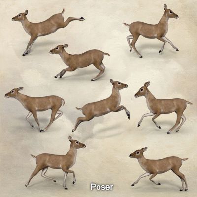 Click here to see preview images for "Running Poses for AMV_Fawn - Poser" Running Poses for AMV_Fawn - Poser