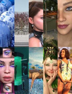 Member Festival Bundle 5 - 2025