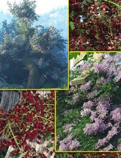 Scatters - Rambling Roses - With Ultra Scatter 2 Presets