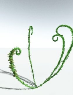 EVERYPlant Discalis Longistipia for Vue