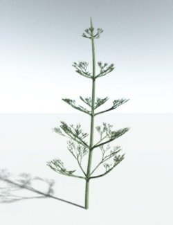 EVERYPlant Ibyka Amphikoma for Vue