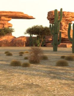 AP Wild West Environment