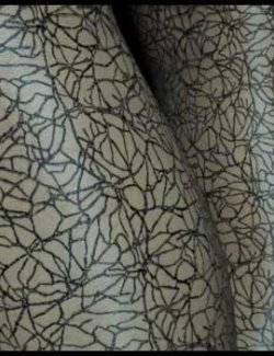 Modern Stockings 2 DS