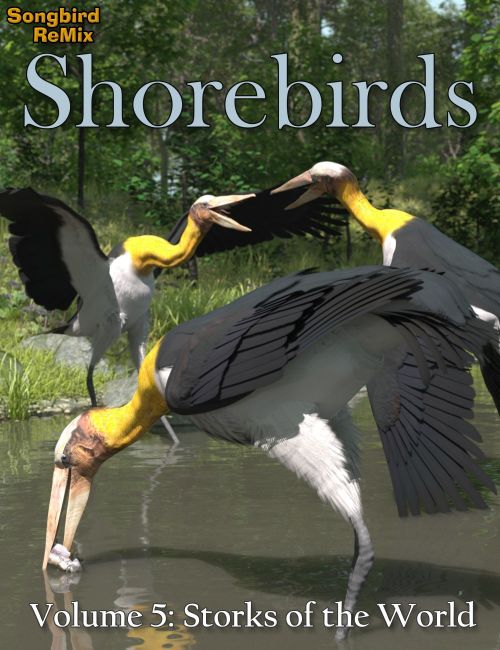 Click here to see preview images for "Songbird Remix Shorebirds Vol 5 - Storks of the World" Songbird Remix Shorebirds Vol 5 - Storks of the World