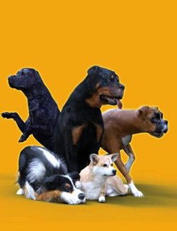 DA Pawfect Poses for Daz Dog 8