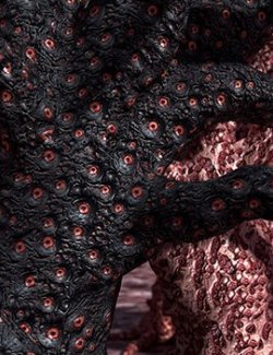 Flinks Rolling Hills - Scary Forest - Bark Textures