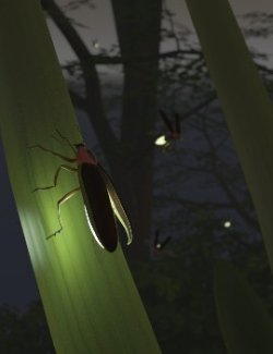 Nature's Wonders Beetles of the World Volume 2