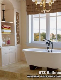 STZ Bathroom 2