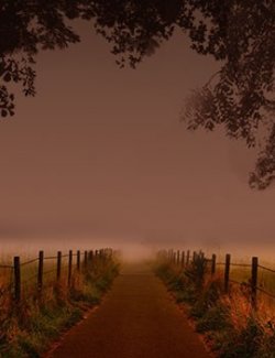 FS Leaves & Foliage Borders II