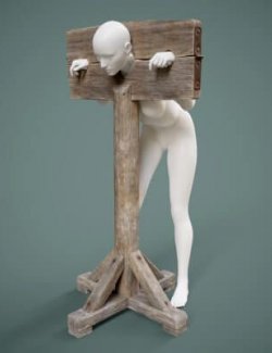 Medieval Pillory G8 Male-Female