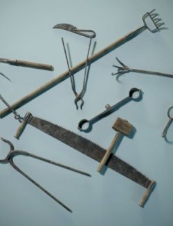 Medieval Punishment Tools Set DAZ