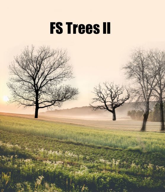 Click here to see preview images for "FS Trees II" FS Trees II