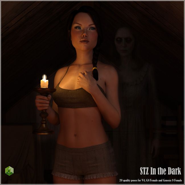 Click here to see preview images for "STZ In the Dark" STZ In the Dark