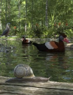 Nature's Wonders Slugs & Snails