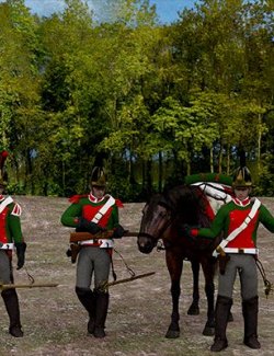 Napoleonic Russian Dragoons