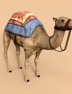 Camel Prop for DAZ Studio Free