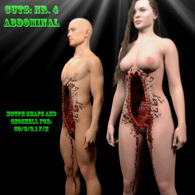 Click here to see preview images for "Cuts Nr. 4 Abdominal" Cuts Nr. 4 Abdominal