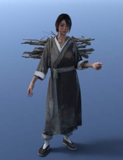dForce Chinese Villager Outfit for Genesis 9