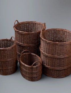 AQ3D Unique Rattan Basket