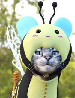 T3d Meow Bee for Daz House Cat