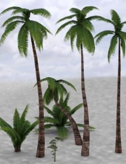 Middle East Palm Trees for DAZ Studio
