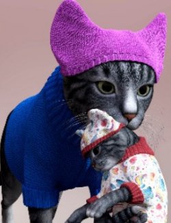 Wardrobe Sweater Cap HiveWire HouseCat DAZ