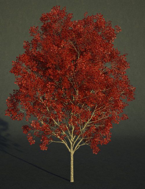 Click here to see preview images for "FN Seasonal Maple Tree Collection" FN Seasonal Maple Tree Collection