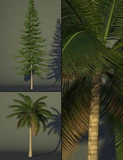 FN Pine and Palm Tree Collection