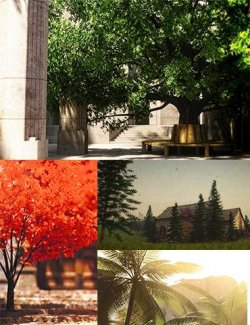 FN Seasonal Tree Bundle