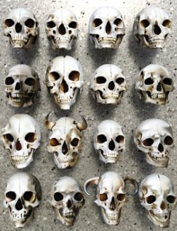 Odd Creatures Skulls