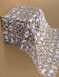 AP Lace Fabric Iray Shaders