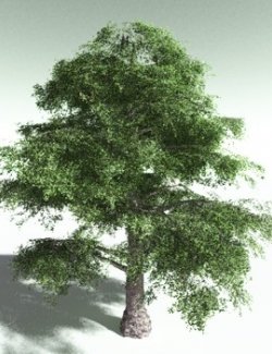 EVERYPlant Malabar Plum for Poser