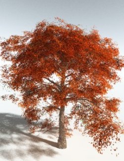 EVERYPlant Cotton Tree for Vue