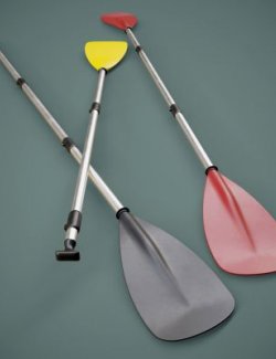 SUP Paddle Set DAZ