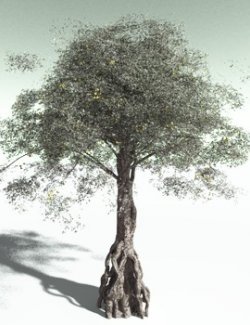 EVERYPlant Weeping Fig for Poser