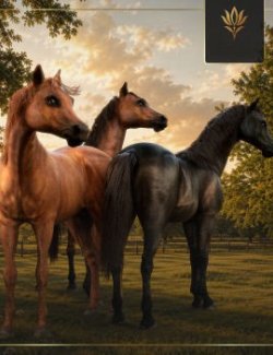 Polish Horses: Malopolski for DH3