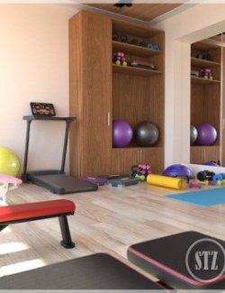 STZ Modern Fitness Room