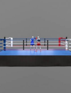 Boxing Ring Set G9