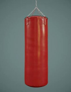 Heavy Punching Bag Prop DAZ