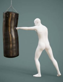 Heavy Punching Bag with Poses for Genesis 9