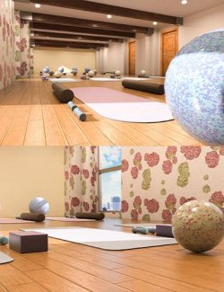 Pilates Studio