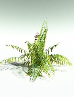 EVERYPlant Mangrove Fern for Poser